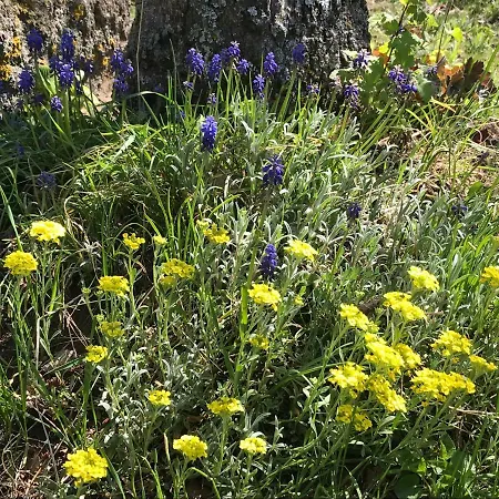 La Roulotte Au Fond Du Pre Penzion *